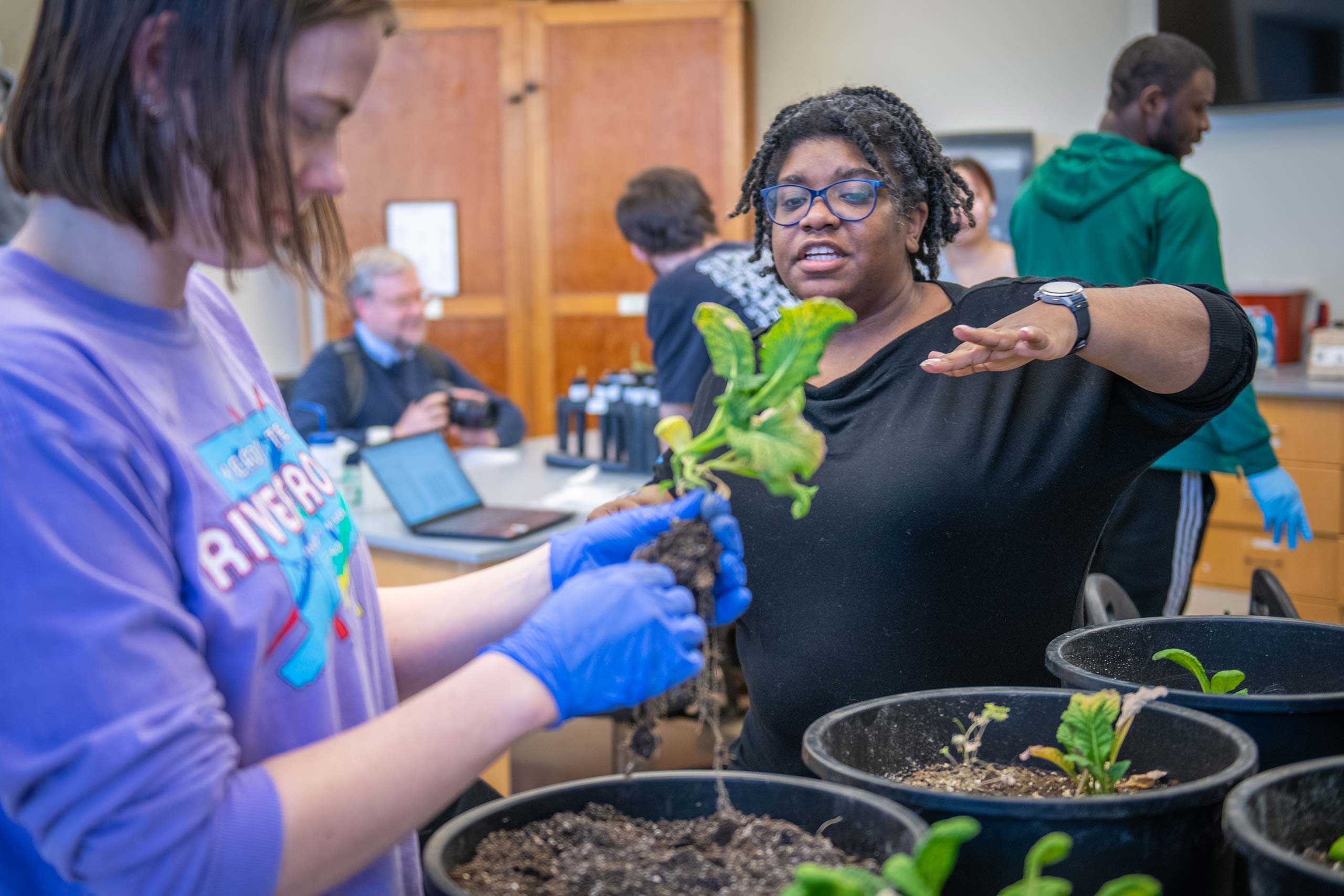 Professor Chandra Jack  works with students in the lab researching how microbes can benefit the growth of food crops.