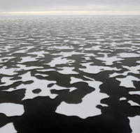 Melt-season sea ice in the Chukchi Sea. (Photo copyright Karen Frey)