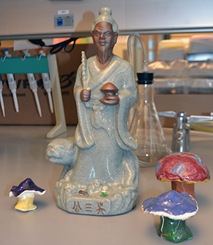 figurine of Wu San Kwung 
