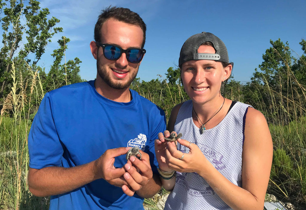 Anthony Himmelberger and Hannah Corney hold baby loggerhead turtles