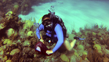Hannah Reich dives in Bermuda.