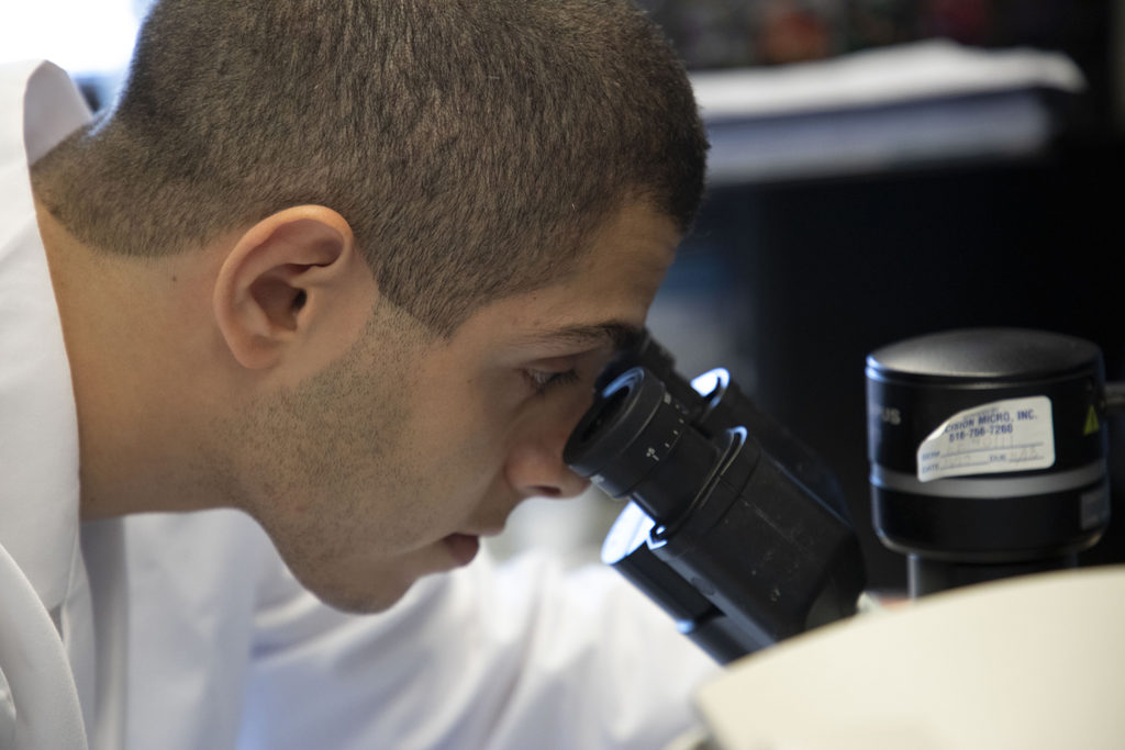 Ibrahim Ozgenc ’20 conducting research at Cornell Weill Medical College