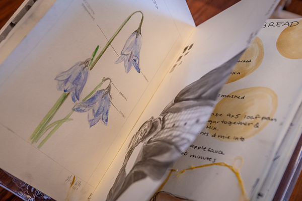 Sketchbooks by Clark University students on display in the Goddard Library Rare Book Room