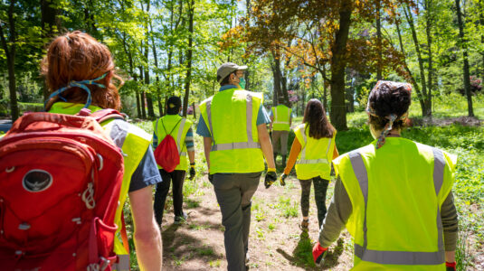 hero fellows wearing bright green vests walk through forest