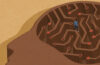 Graphic of young man trapped in a brain-shaped maz