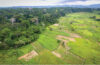 Forest and farmland in Cameroon