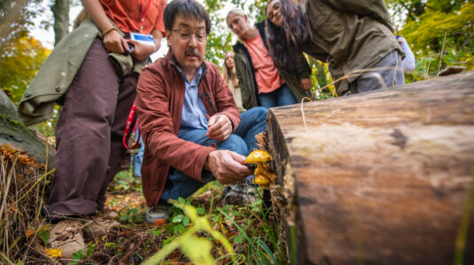 Professor David Hibbett and students examine a mushroom in nature.