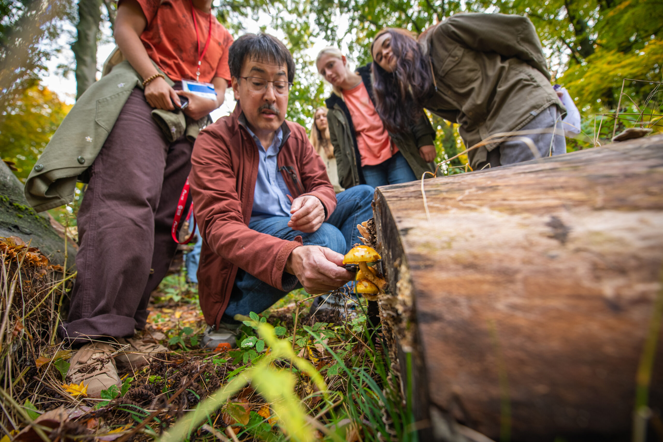 Professor David Hibbett and students examine a mushroom in nature.