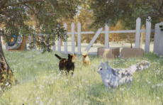 cats in field from VR game