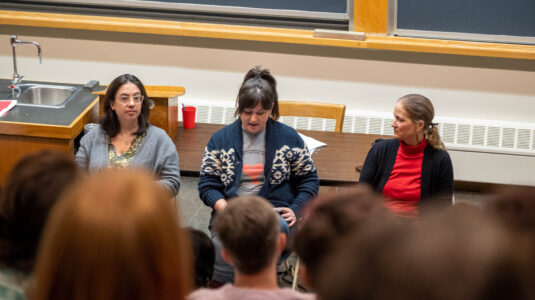 women speak on panel