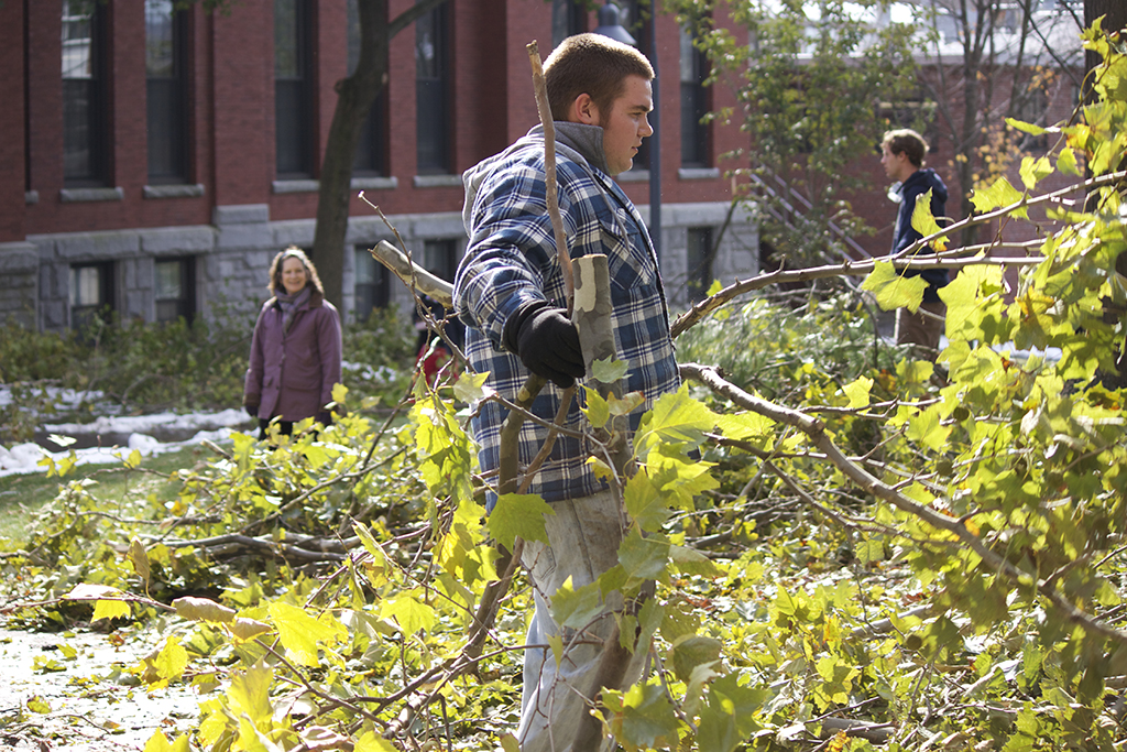 Campus cleanup after Halloween storm in 2011