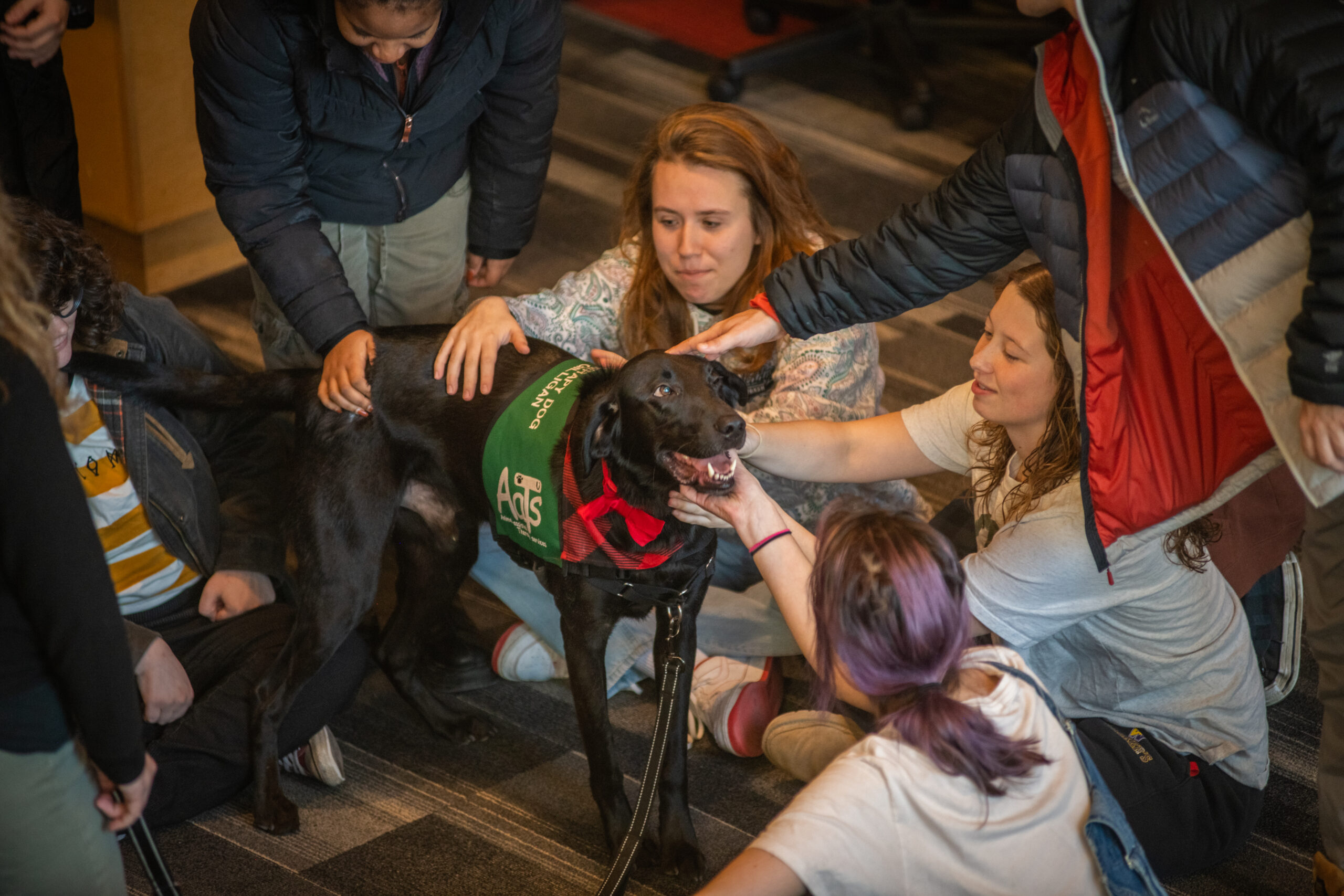 Black lab with students in the Academic Commons