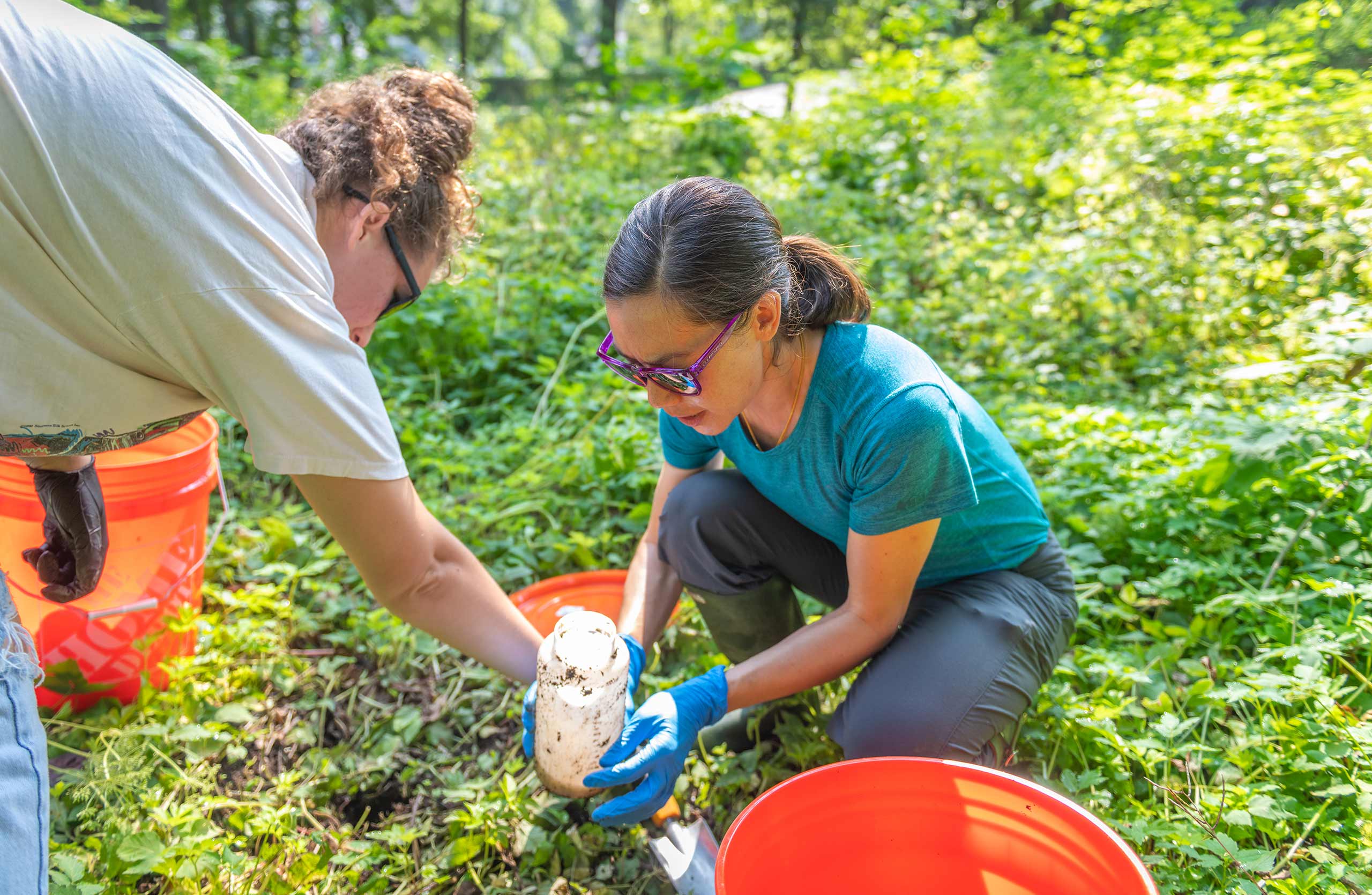 Left to right: Syd Kochensparger ’25 and Erin McCullough collecting samples of Onthophagus hecate, orpheus, and striatulus from traps set in Clark’s Hadwen Arboretum