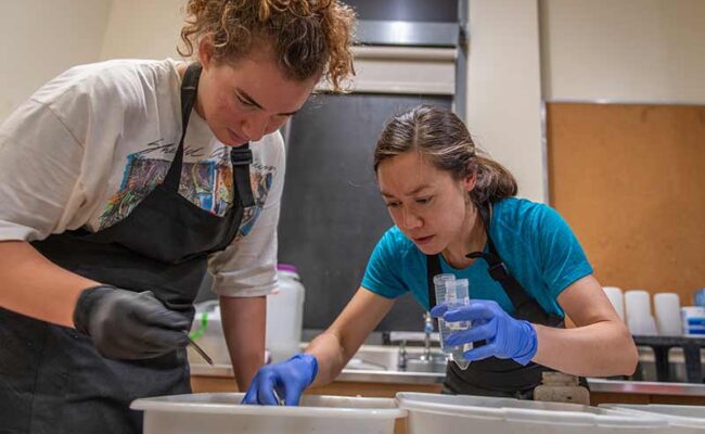 Evolutionary biologist Erin McCullough and student Syd Kochensparger ’25 examining samples collected at Clark's Hadwen Arboretum