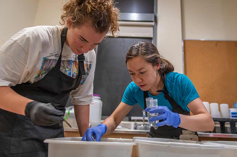 Evolutionary biologist Erin McCullough and student Syd Kochensparger ’25 examining samples collected at Clark's Hadwen Arboretum