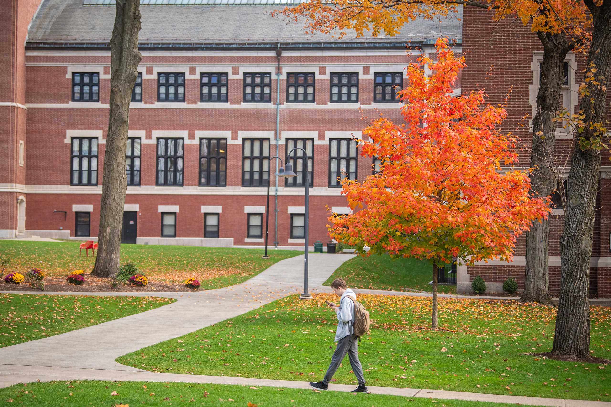 A student walks across the Clark University campus with bright fall foliage in the background