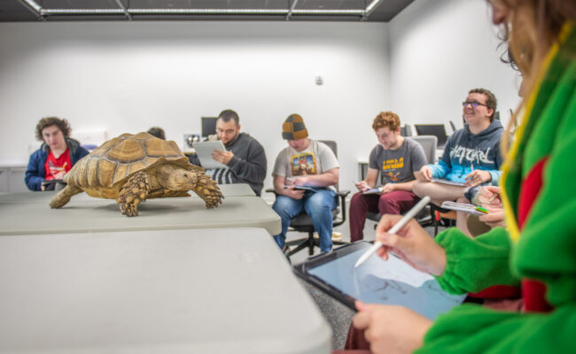 A tortoise in the center of a class where students are creating drawing on tablets for 3D modeling