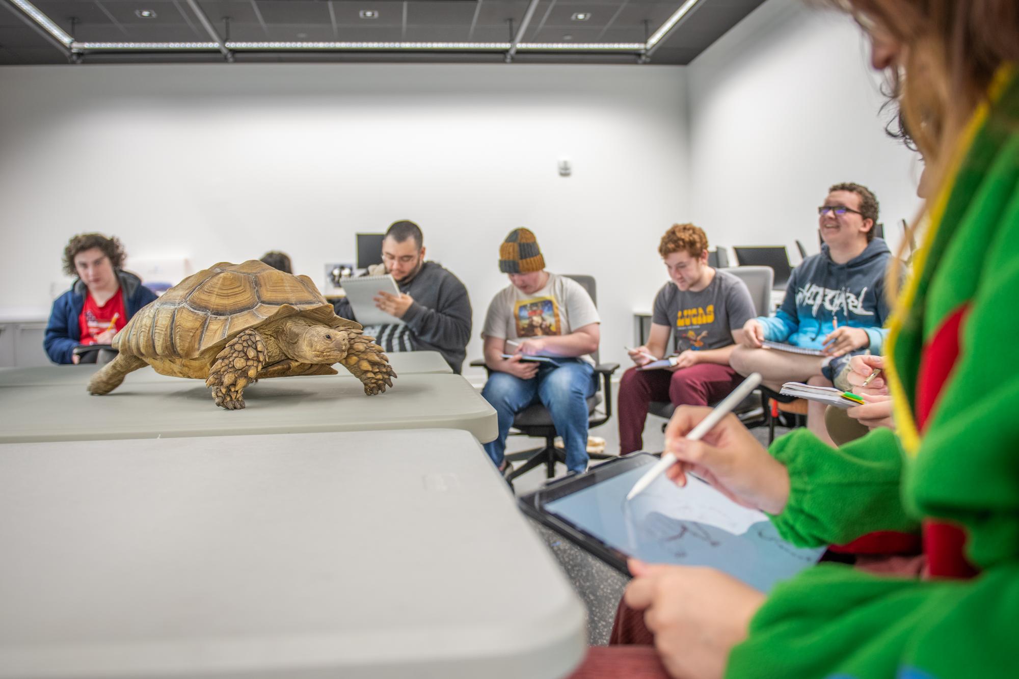 Student uses iPad to sketch turtle on table
