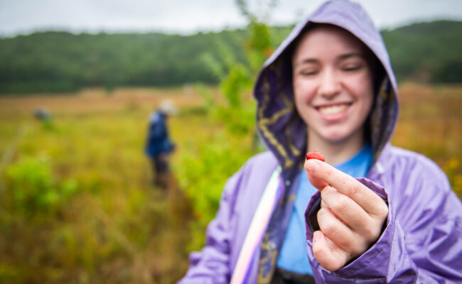 A student holing a berry during an outdoor field trip as part of an environmental restoration project