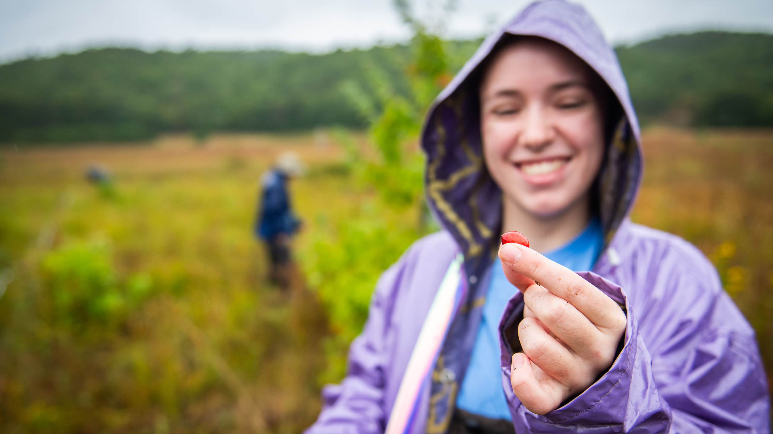A student wearing a hooded rain jacket holds up a red berry during an ecological restoration project outing.
