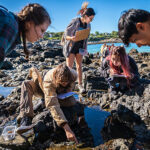 Students on rocks near ocean looking at marine life