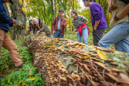 Professor David Hibbett leads a mushroom-foraging excursion for one of his mycology classes.