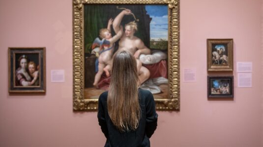 student looks at venetian painting