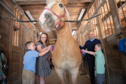 family brushes horse