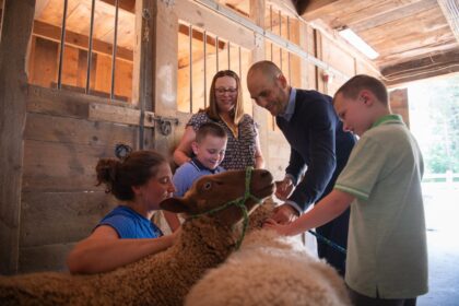 family brushes two sheep