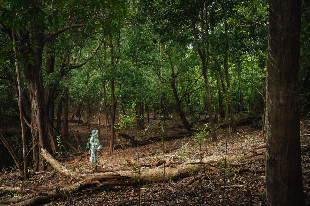 Florencia Sangermano conducts research in a forest